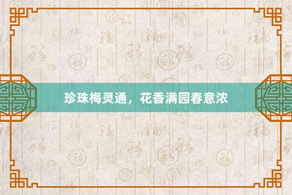 珍珠梅灵通,花香满园春意浓