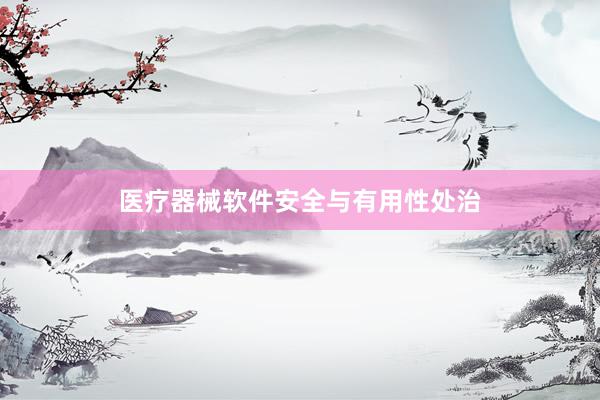 医疗器械软件安全与有用性处治